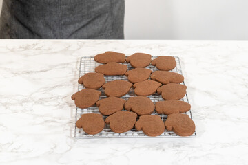 Pale Gingerbread Cookies a festive holiday treat crafted step by step