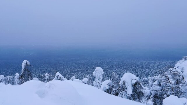 View of the white rocks and the winter forest on Mount Polyud. Lappish spruces on Mount Polyud in the Perm region in winter. In winter, there is a lot of snow and frost on the trees in the Urals. 4К	