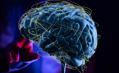 3D rendering of human brain with neural network connections.  Perfect for AI, neuroscience, or...