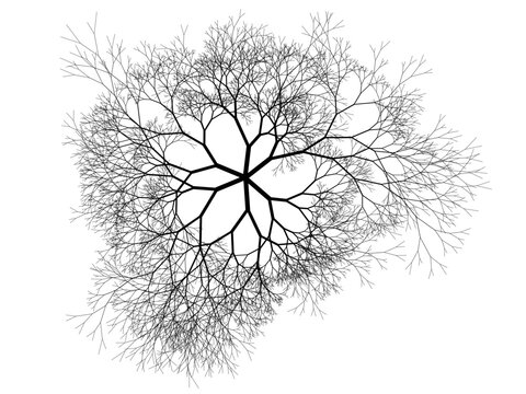 Branching network or tree viewed from above. Binary fractal algorithmic design.