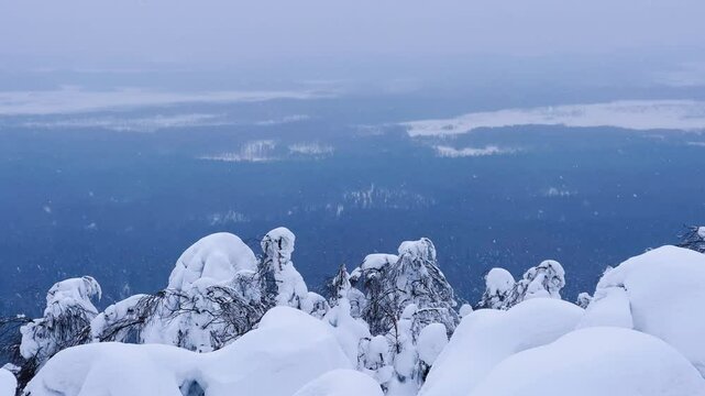 View of the white rocks and the winter forest on Mount Polyud. Lappish spruces on Mount Polyud in the Perm region in winter. In winter, there is a lot of snow and frost on the trees in the Urals. 4К	