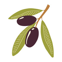 Branch of black olives in cartoon style. Olive branch illustration isolated on white background.