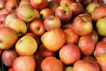 Organic red ripe apples backgrounds, apples sold on farmers food market