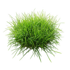 Isolated Green Grass Clump