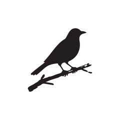 blackbird on a branch icon silhouette 