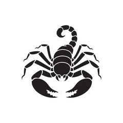 vector scorpion silhouette