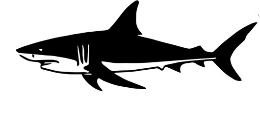 shark vector illustration