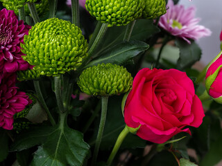 floral arrangement, red roses, green and purple chrysanthemums, white dahlias, daisies, natural flowers, in full bloom close up, elegant, intimate, romantic, delicate