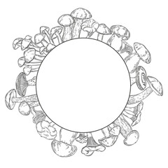 Mushrooms. Round frame with space for text.  Hand drawn illustration. Perfect for design templates,wrapping, print, menu, recipe design.
