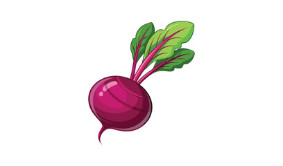 Fresh beetroot vegetable cartoon illustration