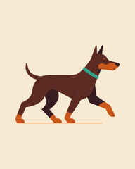 Doberman. Dog. Vector color image.
