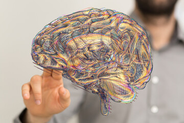 3D model of the human brain, showcasing its complex neural pathways and connections.