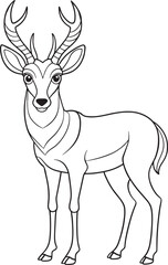 Adorable Pronghorn Coloring Page Line Art Vector Illustration