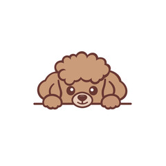 Poodle Peeking Dog Vector Illustration Isolated On White