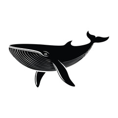 Fototapeta premium blue whale silhouette of a vector illustration 