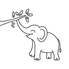 Obraz premium An elephant's trunk stretching toward a tree branch