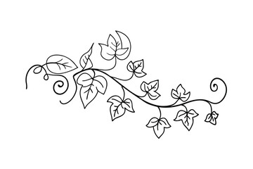 Elegant black and white vector illustration of climbing vine with leaves and swirls