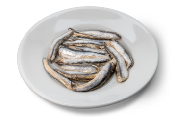 Marinated anchovies in white plate isolated