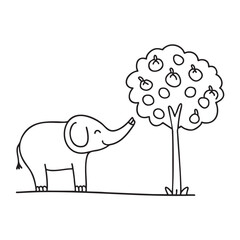 A trunk of an elephant reaching toward a tree fruit
