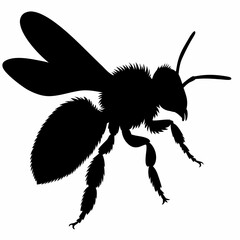 Bee Silhouette Vector | Black Insect Icon on White Background | Nature Design Element | Simple Bee Shape for Prints and Graphics | Isolated Honeybee Silhouette

