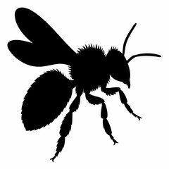 Bee Silhouette Vector | Black Insect Icon on White Background | Nature Design Element | Simple Bee Shape for Prints and Graphics | Isolated Honeybee Silhouette

