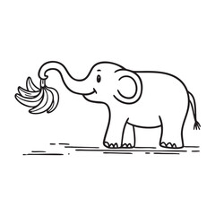 An elephant trunk grab a bunch banana