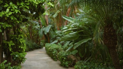 Lush tropical garden path featuring blurred greenery, evoking a luxurious resort ambiance ideal for exotic travels and relaxation.