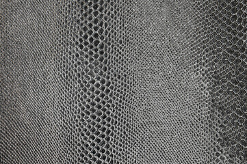 Background showing gray reptile skin with light reflections