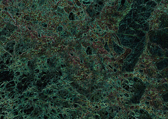 Green and brown abstract texture resembling a microscopic view