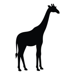 Fototapeta premium Elegant giraffe silhouette for use in nature and wildlife designs vector illustration.