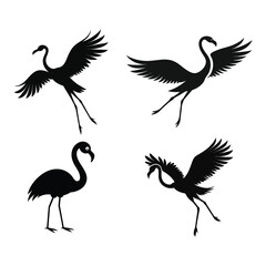Naklejka premium Flamingo bird bundle silhouette for tropical and nature-themed illustrations vector illustration.