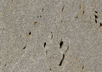 Weathered concrete surface showing signs of cracking and deterioration