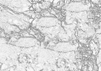 Abstract black and white cracked pattern creating stunning visual texture