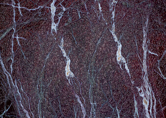 Dark red marble stone surface with white veins forming a natural pattern