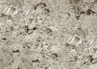 Rough gray stone surface showing natural textures and patterns for background or wallpaper