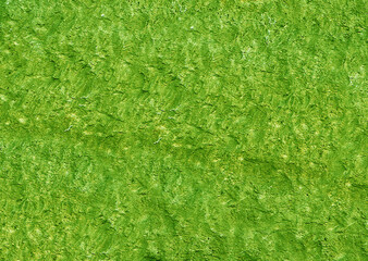 Green textured stone surface forming an abstract background