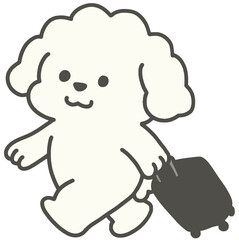 캐리어 끌고 가는 강아지