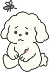모기물린 강아지