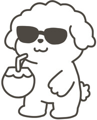 코코넛 음료를 먹는 강아지