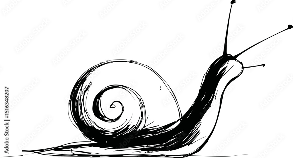 Aufkleber sketch of a snail with spiral shell in black and white illustration. vector illustration