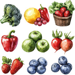 phytonutrients fruits and vegetable watercolor illustration 