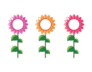 flowers vector, beautiful flowers illustration, set of flora, decorate flowers