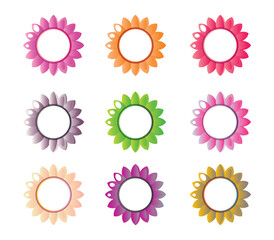 flowers vector, beautiful flowers illustration, set of flora, decorate flowers modern design