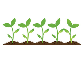 young plant in soil vector