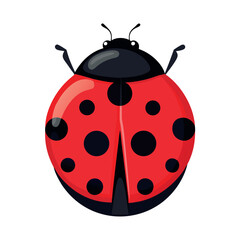 Obraz premium ladybug vector on white background