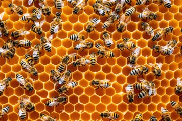 Honey bees working on vibrant orange honeycomb, realistic photographic style, natural background, concept of teamwork and productivity, Ai generative