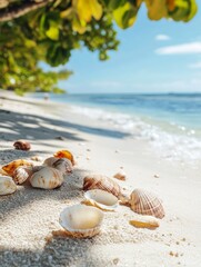 Seashell Beach