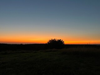 Fototapeta premium sunset over the field