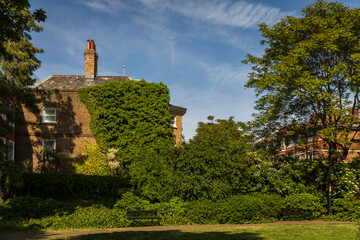 London, UK,  7 May 2025,  Bermondsey. A Historic Brick House Covered in Ivy.