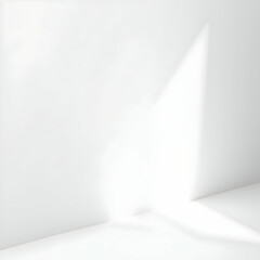 White Wall and Floor with Natural Light and Shadow